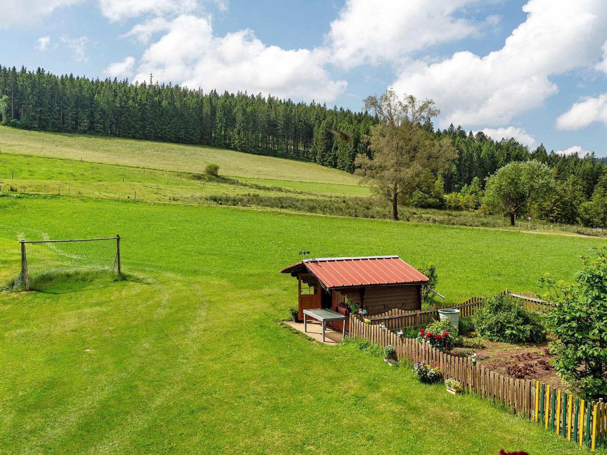 Ferienwohnungen Duffner Schonach im Schwarzwald Экстерьер фото