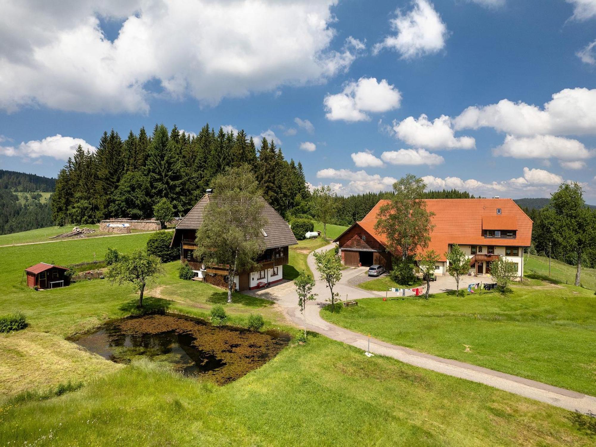 Ferienwohnungen Duffner Schonach im Schwarzwald Экстерьер фото