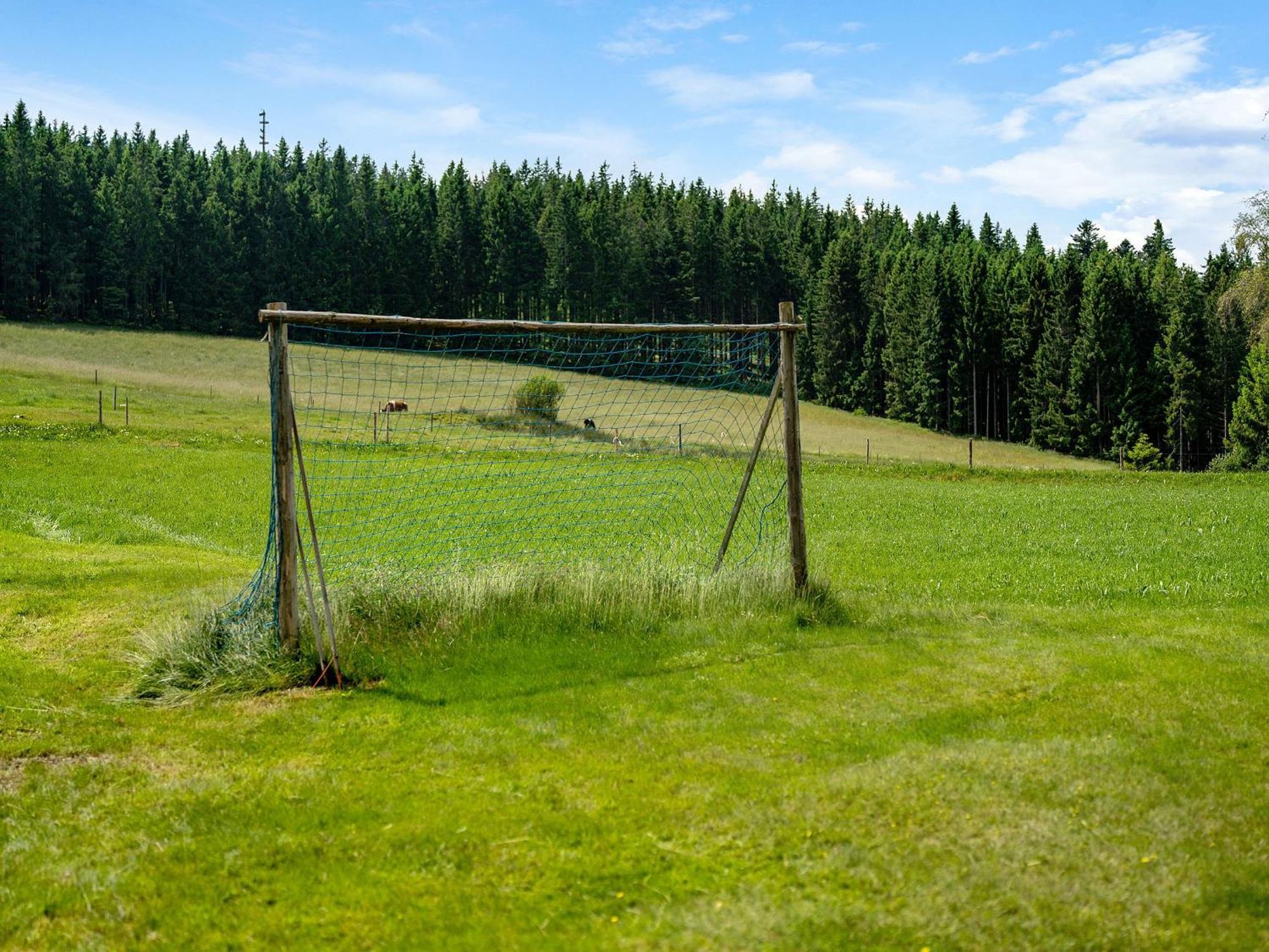 Ferienwohnungen Duffner Schonach im Schwarzwald Экстерьер фото