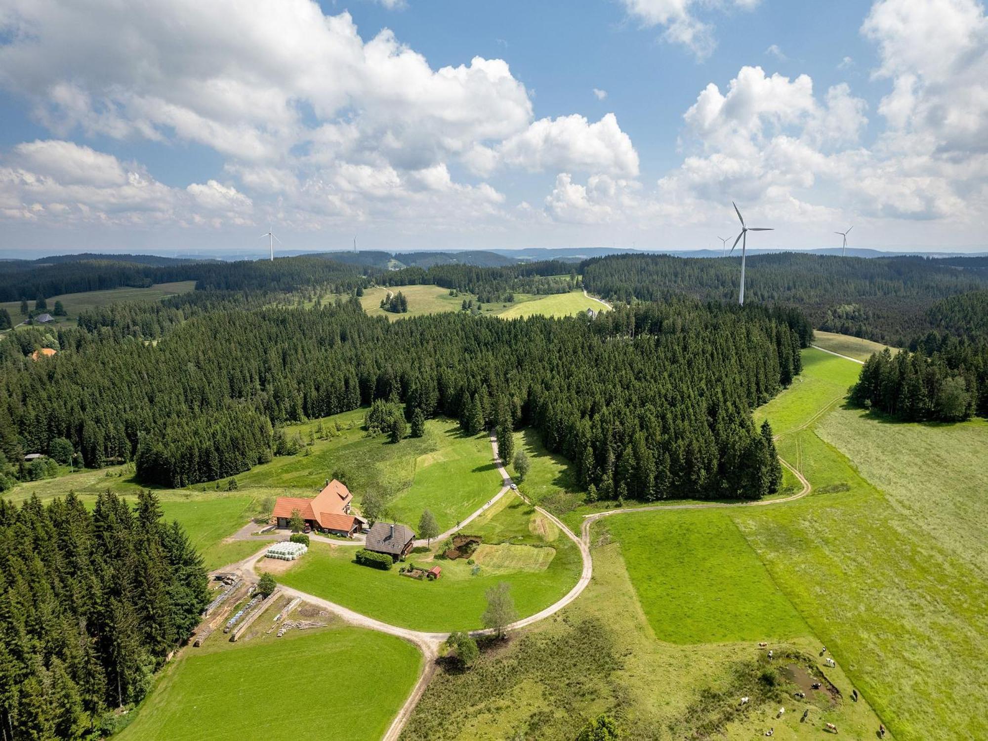 Ferienwohnungen Duffner Schonach im Schwarzwald Экстерьер фото